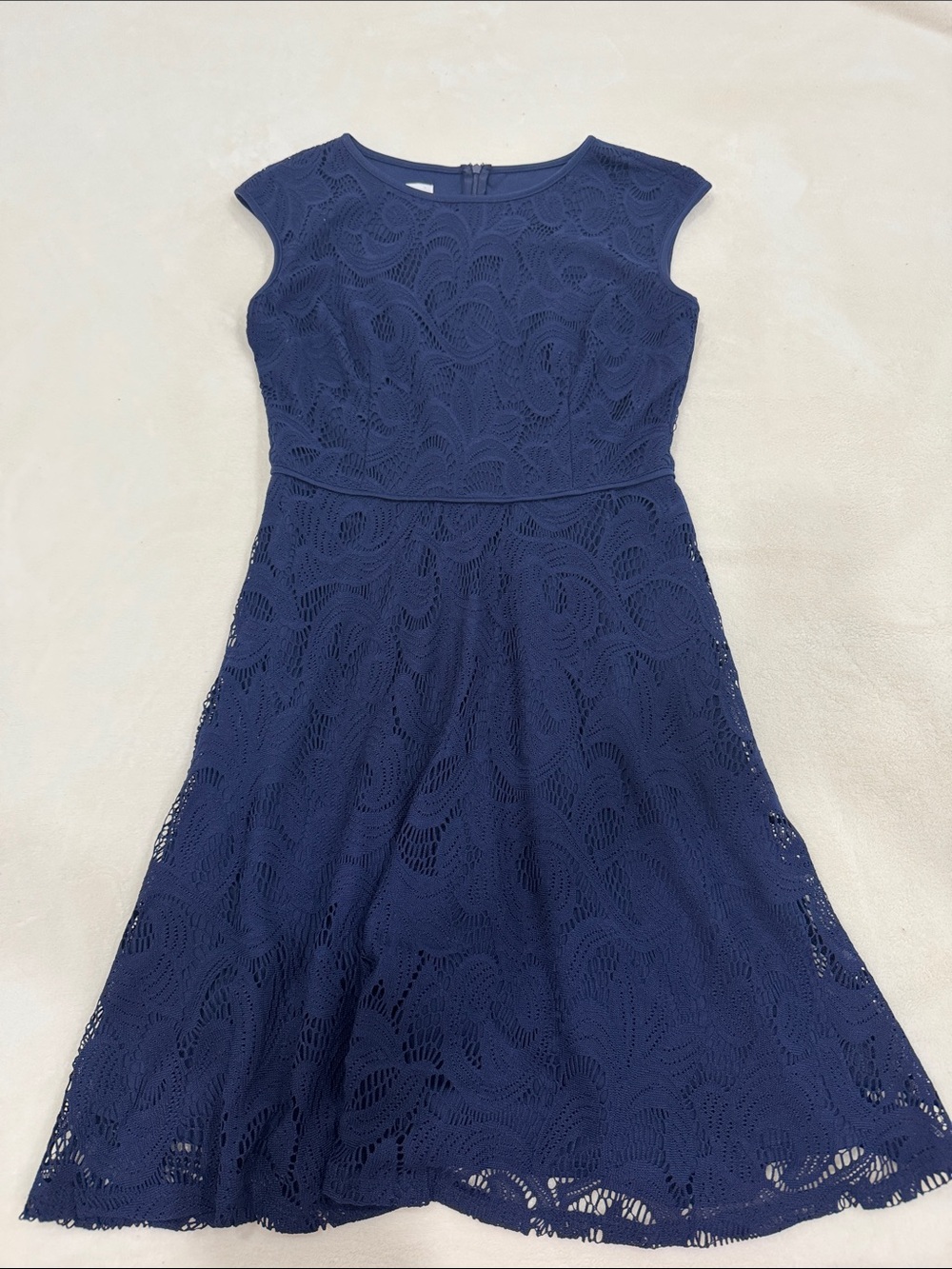 Wisp Navy Lace Fit-and-Flare Dress
